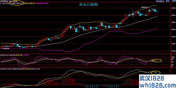 8.30黄金月线收盘后市场走势运行及黄金上涨趋势维持的建议