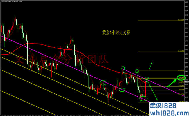 5.5黄金多头势如破竹 黄金开盘操作策略