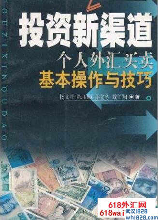 《投资新渠道:个人外汇买卖基本操作与技巧》下载！