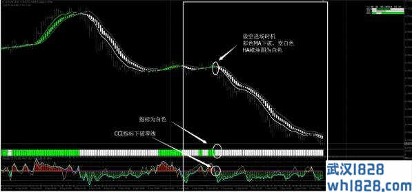 绿火外汇交易系统MT4下载