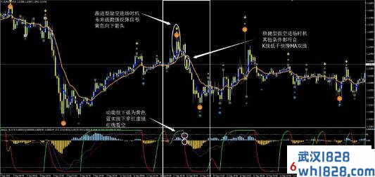 沙夫策略外汇交易系统下载