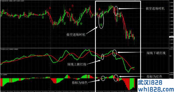 蟒蛇方法外汇交易系统下载