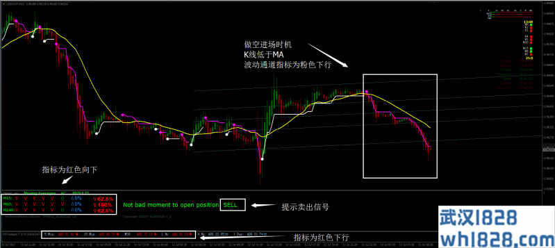 专业矩阵外汇交易系统下载