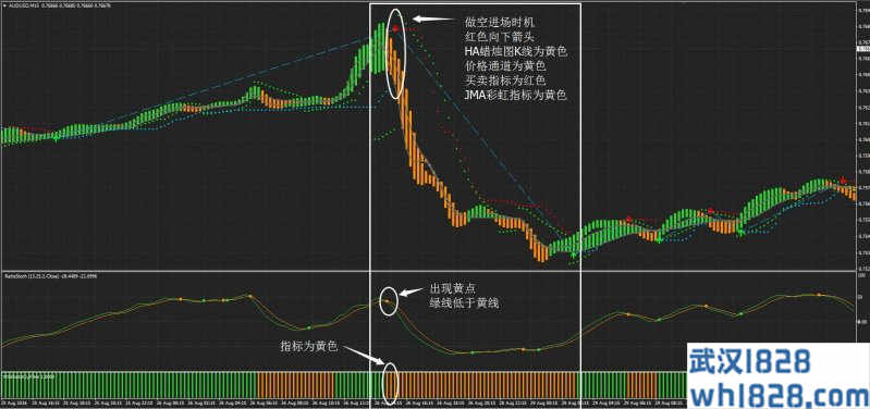 Ratis修改版外汇交易系统下载