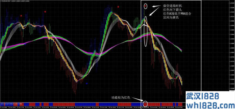 I2G Freenalizer外汇交易系统