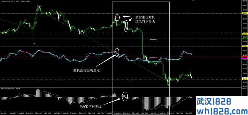 Tiong7外汇交易系统