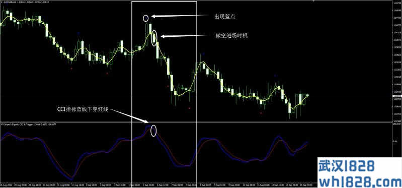 遍历性CCI狙击手外汇交易系统