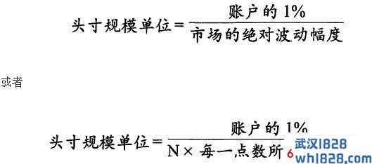 头寸规模