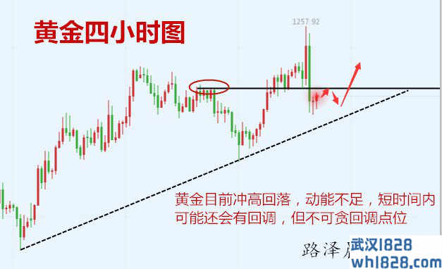 12.20黄金冲高回调,黄金原油走势分析帮解套