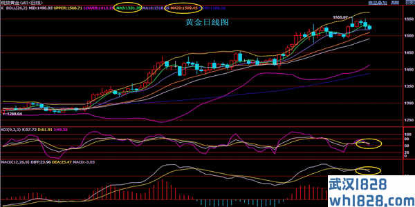 8.31下周一黄金看跌信号上升黄金趋势操作暗示解锁