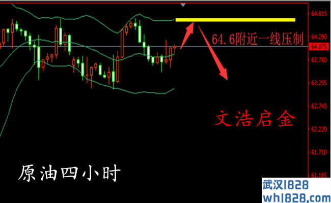 黄金的损失减少,黄金反弹到79做空