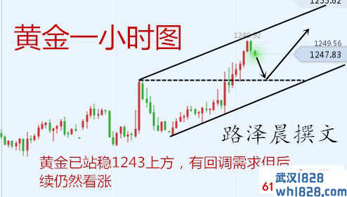 12.9黄金原油搏先机，下周一操作建议